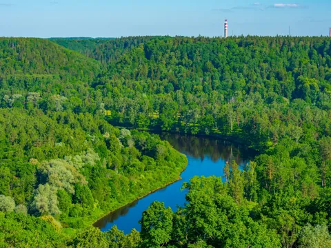 El Parque Nacional de Gauja es otro de los atractivos turísticos de este recorrido guiado.