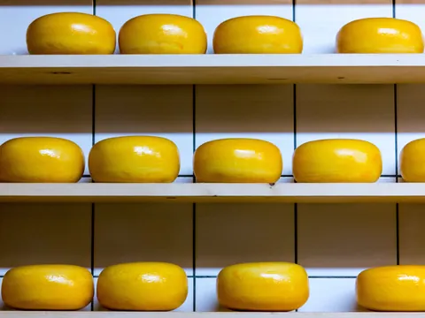 Varios quesos amarillos típicos de Holanda colocados en filas sobre estantes de una quesería en Ámsterdam.
