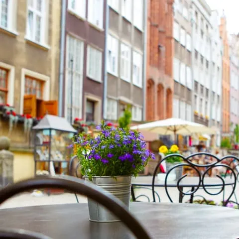 Mejores cafés de Praga - Qué hacer en Praga - Guía de viaje Praga - Buendía Tours
