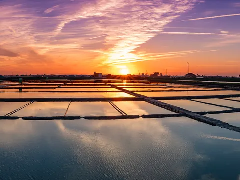 Tour por las salinas y playas de Aveiro con paseo en moliceiro