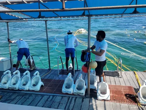 excursión Seaquarium Punta Cana Bavaro República Dominicana