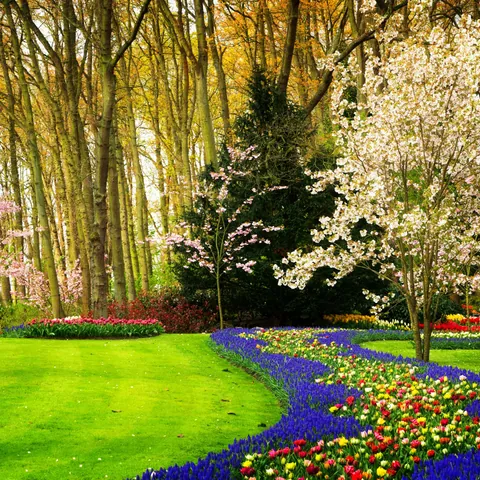 Tulipanes de Keukenhof Utrecht
