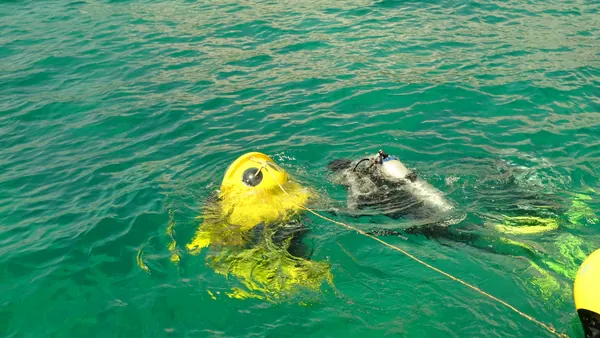 Scuba Doo Punta Cana Scooter Submarino Buceo República Dominicana