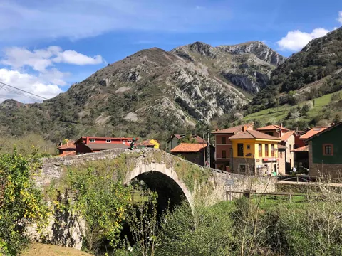 Descenso en bicicleta por la Senda del Oso en Asturias