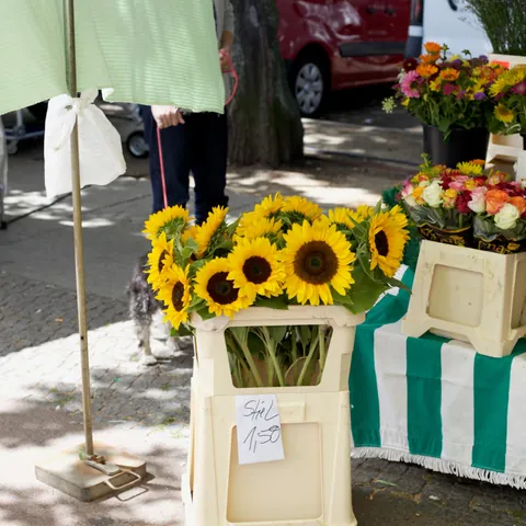 Girasoles en venta en el Mercado Winterfeldt de Berlín - Bokehboo Studios / Shutterstock.com