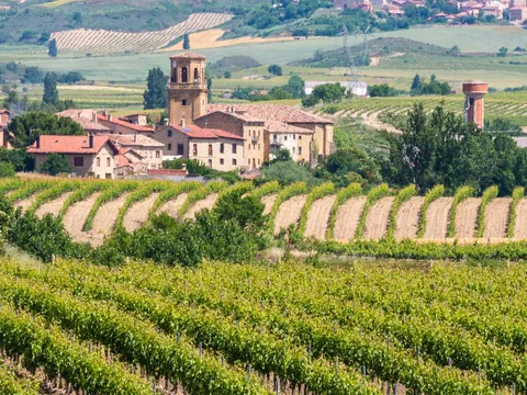 Excursión a La Rioja y sus bodegas desde Bilbao