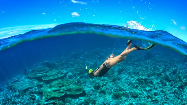 Snorkel Lavas Sumergidas Tenerife Buceo Canarias