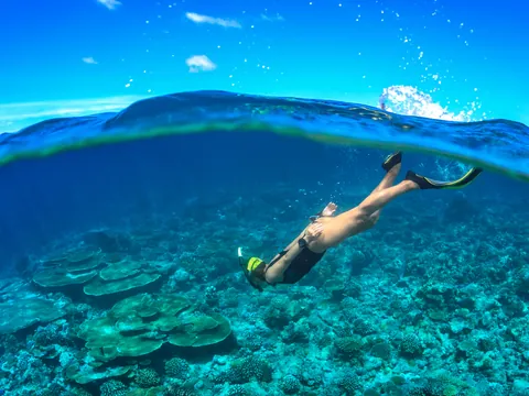 Snorkel Lavas Sumergidas Tenerife Buceo Canarias