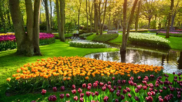 Excursión grupos reducidos Keukenhof desde Utrecht