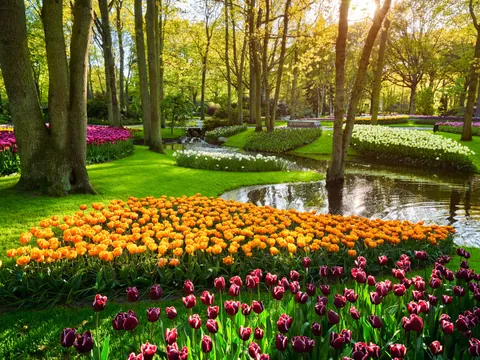Excursión grupos reducidos Keukenhof desde Utrecht