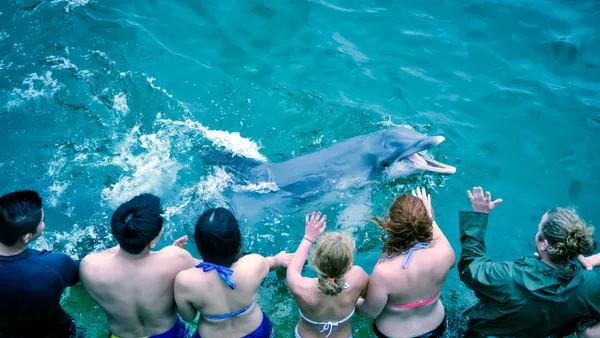 Delfin Nadando con Gente visita Dolphin island Punta Cana