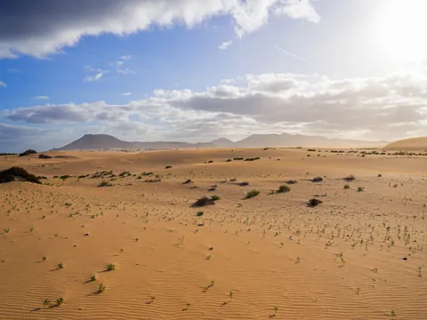 excursión Fuerteventura desde Lanzarote barco Parque natural Dunas Corralejo Ferry Playa Blanca Canarias