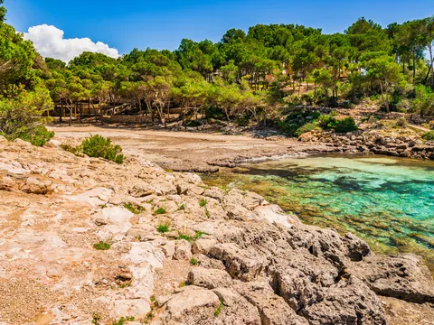 Entorno natural junto a la orilla en Cala Barca Trencada