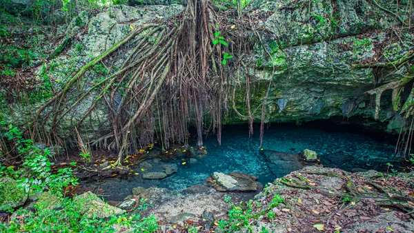 excursión isla Saona desde Punta Cana Cueva Cotubanama paseo en barco catamarán Almuerzo República Dominicana