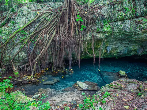 excursión isla Saona desde Punta Cana Cueva Cotubanama paseo en barco catamarán Almuerzo República Dominicana