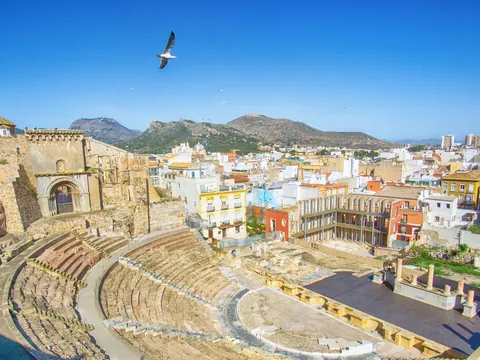 Gaviota sobrevolando el Teatro Romano de Cartagena