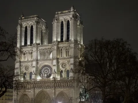 Fachada de la Catedral de Notre Dame iluminada de noche entre árboles en París.