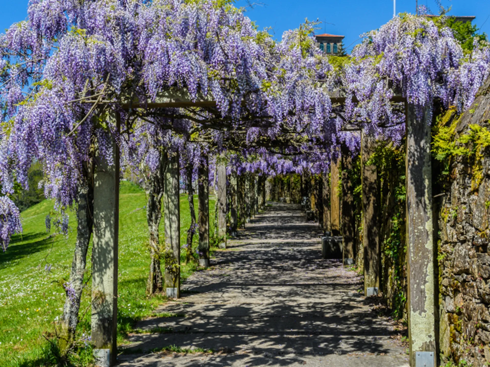 Parque Belvís - Parques Santiago Compostela - Buendia Tours
