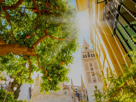 Giralda tour privado Sevilla visita guiada