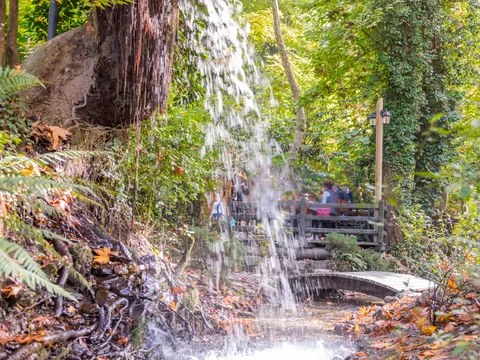 Cascada rodeada de bosque en Maşukiye, Turquía