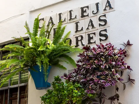 Calleja Las Flores con letrero y macetas de plantas colgantes, Córdoba, España