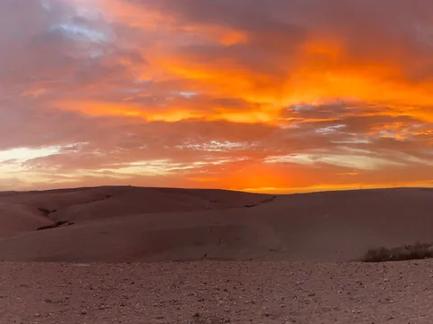 Cena y paseo en camello por el desierto de Agafay