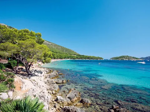 Vistas de la playa de Formentor revelan su arena dorada y aguas turquesa, un paraíso natural de serenidad.