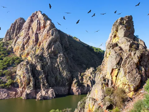 excursión Monfrague desde Cáceres Extremadura