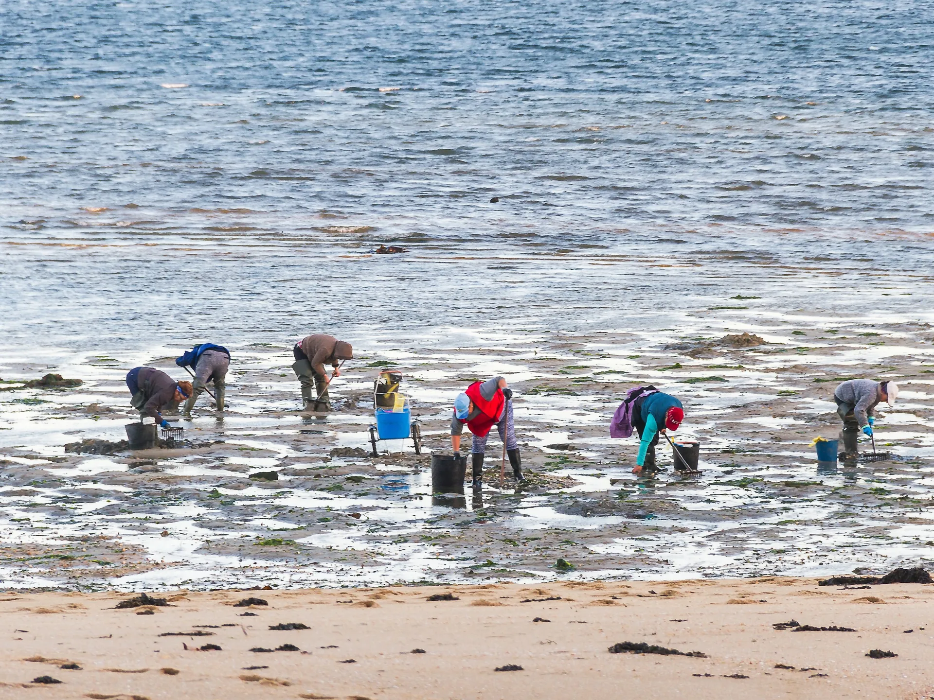 mariscadoras rias baixas