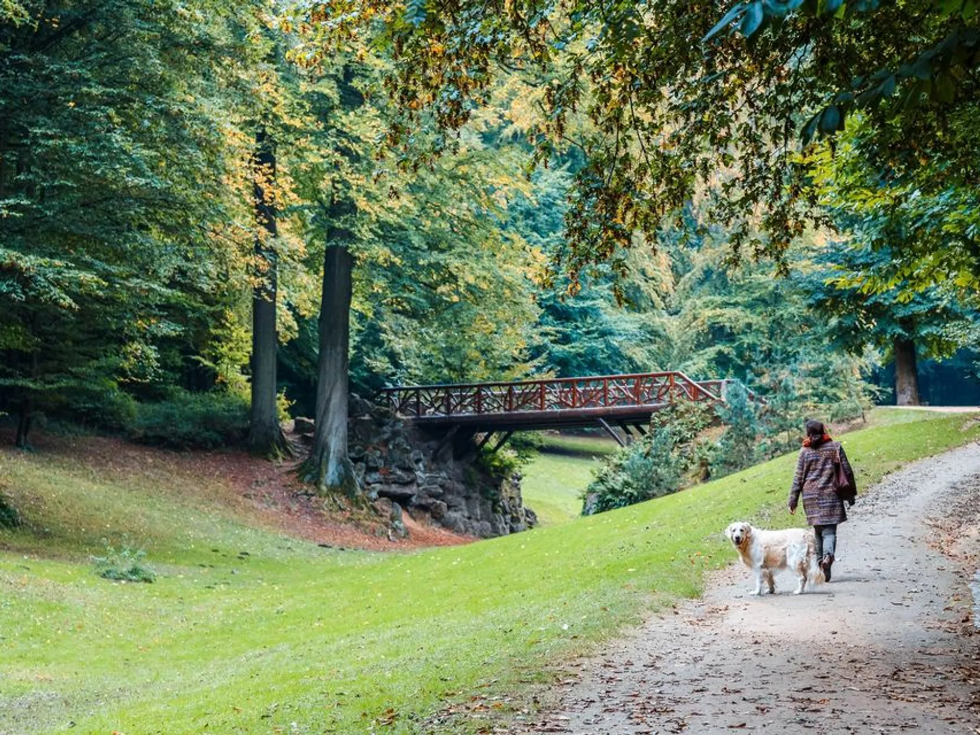 bois-de-la-cambre_1.jpg