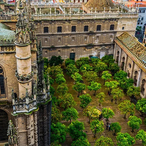 Vista aérea del Patio de los Naranjos en la Catedral de SevillaPatio de los Naranjos - Qué ver en Sevilla - Guía de viaje Sevilla - Buendía Tours