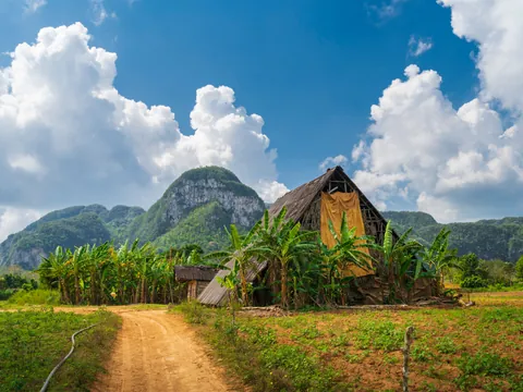 Excursión privada en coche clásico a Viñales desde La Habana