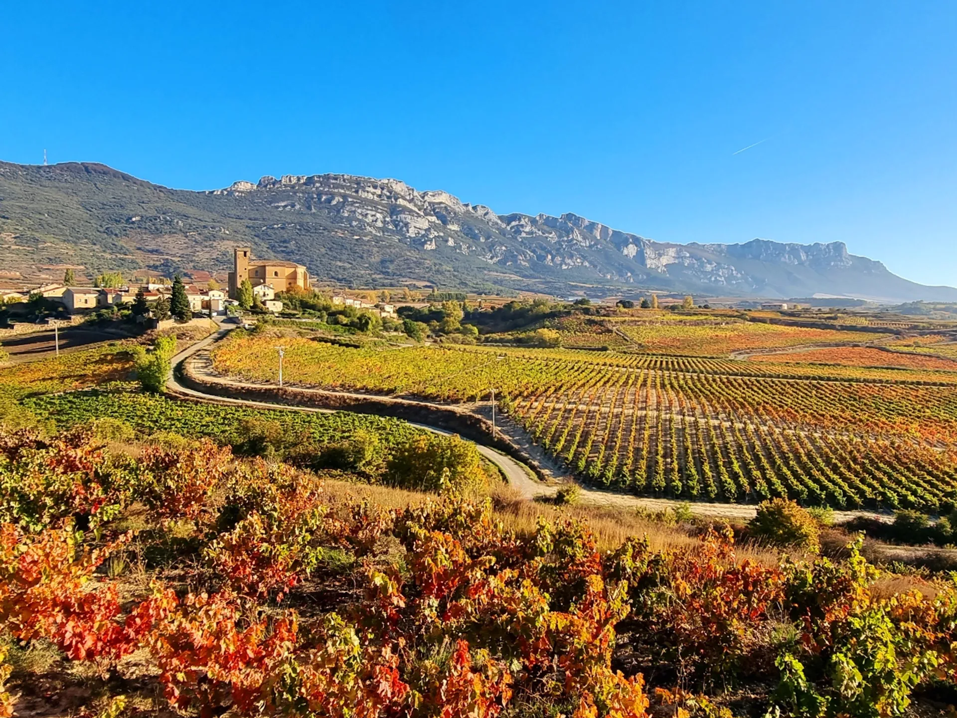Vista Samaniego en la Rioja Alavesa - Pueblos de la Rioja Alavesa - Qué ver en Bilbao - Guía de Viajes Bilbao - Buendía Tours