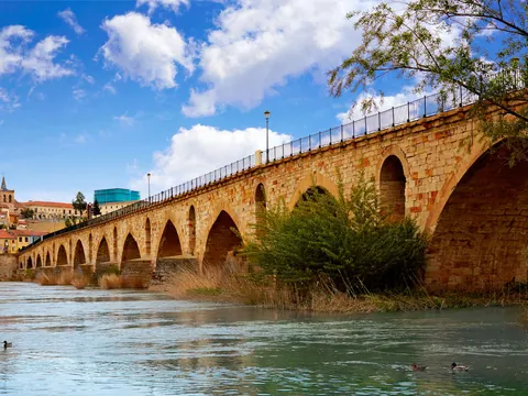 visita-guiada-zamora_puente-pierdra_castilla-leon_buendia.jpg