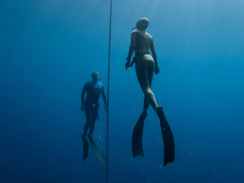 Iniciacion Apnea Tenerife Marina Sur las Galletas freedive Canarias