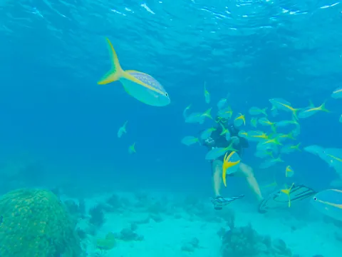 Excursión privada a Playa Larga desde La Habana