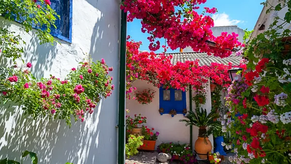 Macetas de colores de los Patios de Córdoba.