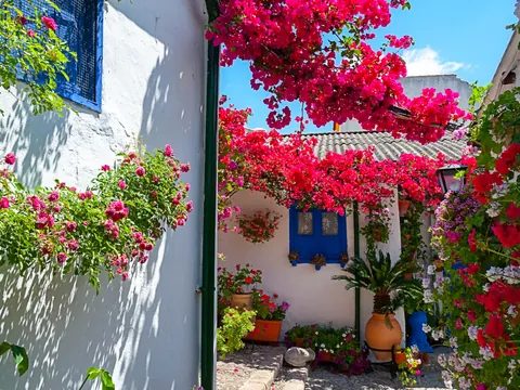 Macetas de colores de los Patios de Córdoba.