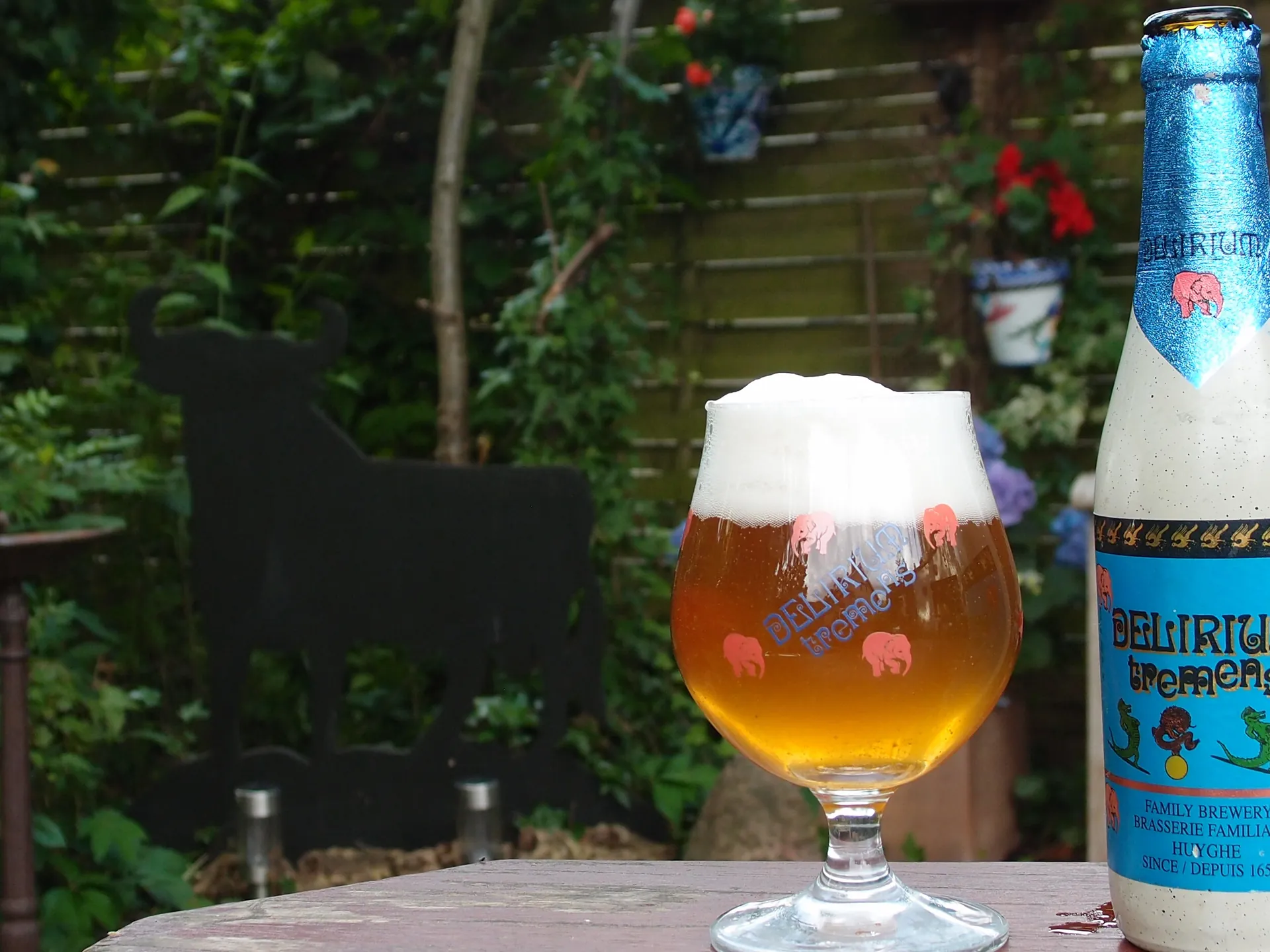 Cerveza Delirum Tremens-Buendía tours Bruselas