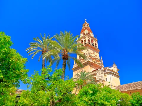 tour Córdoba Majestuosa visita guiada Dias