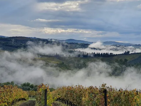 Niebla matutina sobre los viñedos y colinas del paisaje de la Toscana