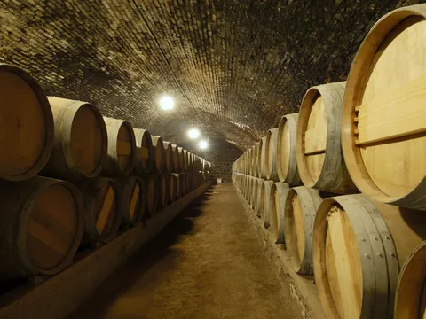 Bodega de Viña Concha y Toro, una de las más populares de la región.