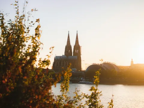 Catedral de Colonia tras la vegetación frente al río Rin durante el atardecer.
