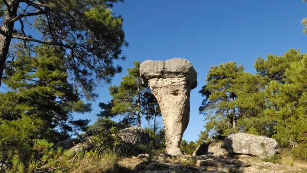 tour nocturno Cuenca entradas Cuidad Encatanda Combo visita guiada Guia excursiones Castilla Mancha
