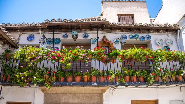 excursión Granada desde Benaladena Costa del Sol