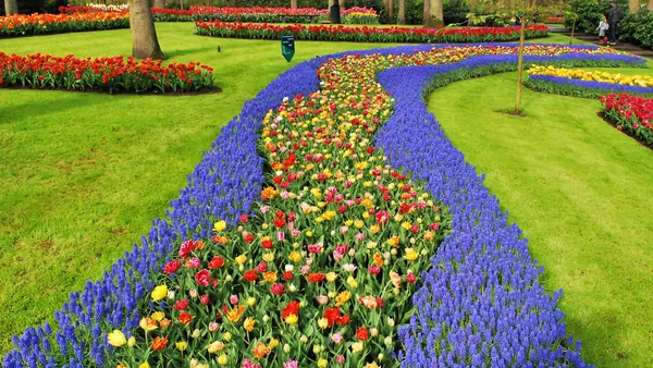 Cómo sacarle el máximo partido a tu visita a los Jardines de Keukenhof