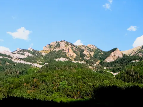 Vista panorámica de las montañas del Pirineo con denso bosque en primer plano y cielo azul con nubes.