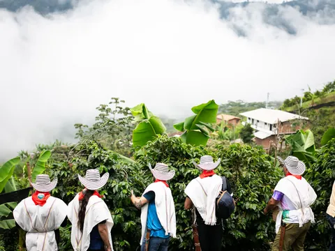 excursión café desde Medellin