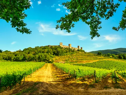 Viñedos y camino hacia un castillo medieval en la Toscana, Italia