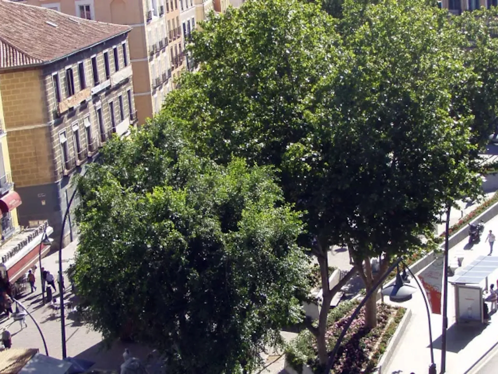 Vista de la Plaza Tirso de Molina - Plaza Tirso de Molina - Qué ver en Madrid - Guía de Viajes Madrid - Buendía
